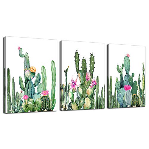 White Background Green Cactus