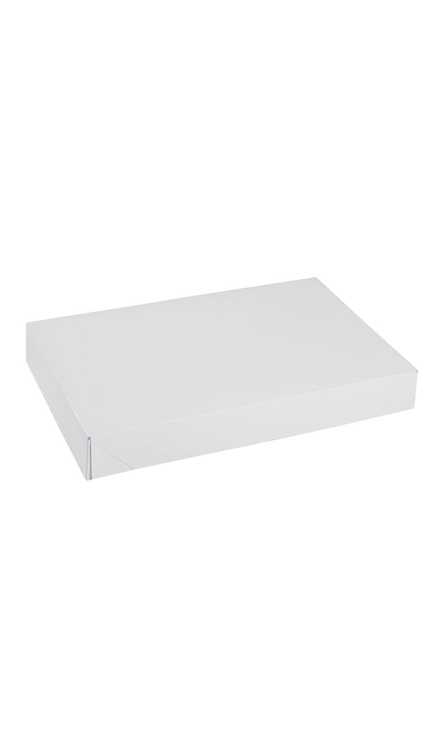 White Apparel Boxes 15x9.5x2 Inches - Bulk Pack of 100 Shipping Boxes for Clothing, T-Shirts & Retail Packaging - Perfect for Ecommerce, Boutique Stores & Online Sellers