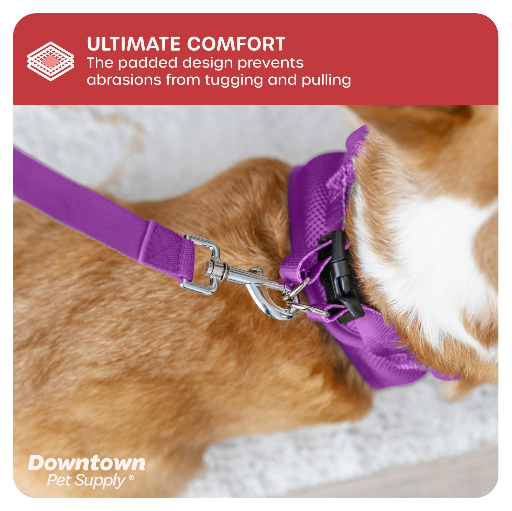 **Downtown Pet Supply No-Pull Step-in Dog Harness for Small Dogs - Adjustable Padded Mesh Harness with Reflective Trim - Purple Small Dog Harness for Walking, Training & Outdoor Adventures**