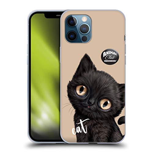 Black Cat