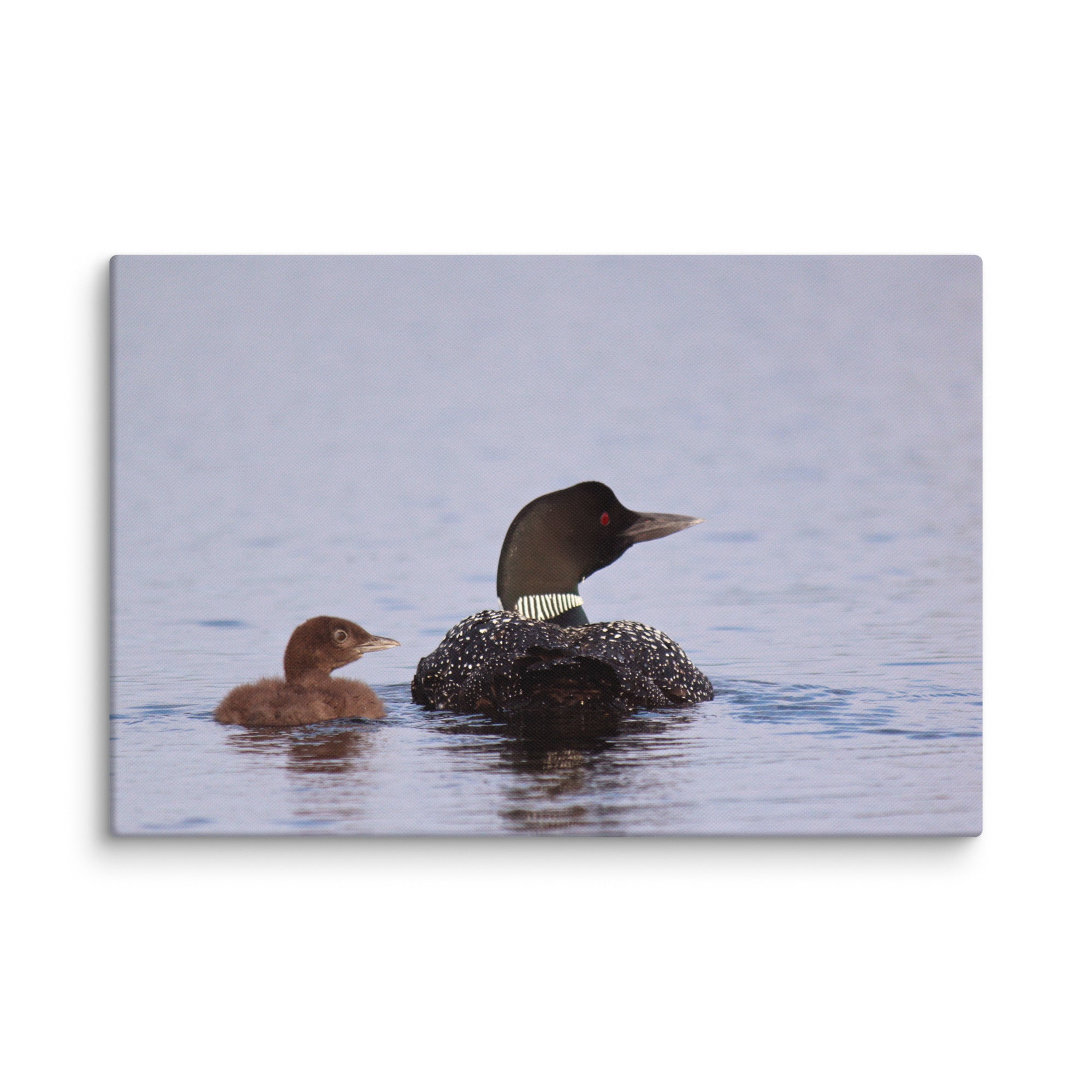 Premium Canvas Wall Art - Loon Family Painting for Home & Office Decor | Nature-Inspired Wildlife Artwork for Living Room, Bedroom, or Cabin