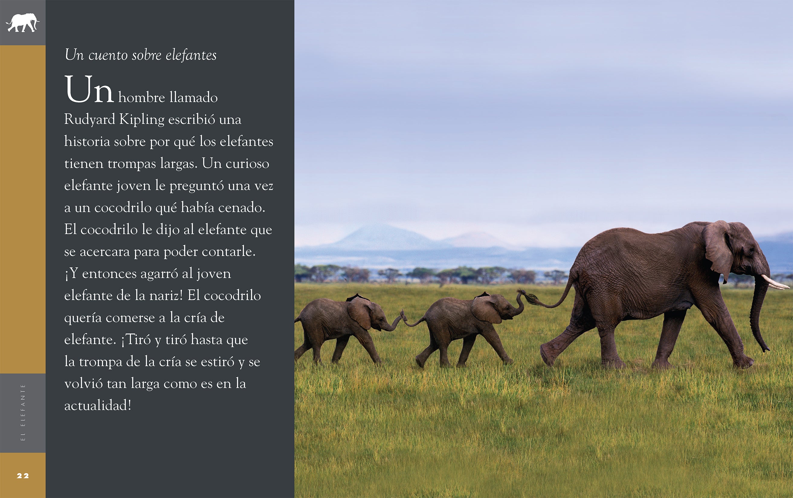 El Elefante 9781640264656 - Elephant Book for Kids, Wildlife Education & Animal Facts | Perfect for Classroom Learning & Bedtime Stories