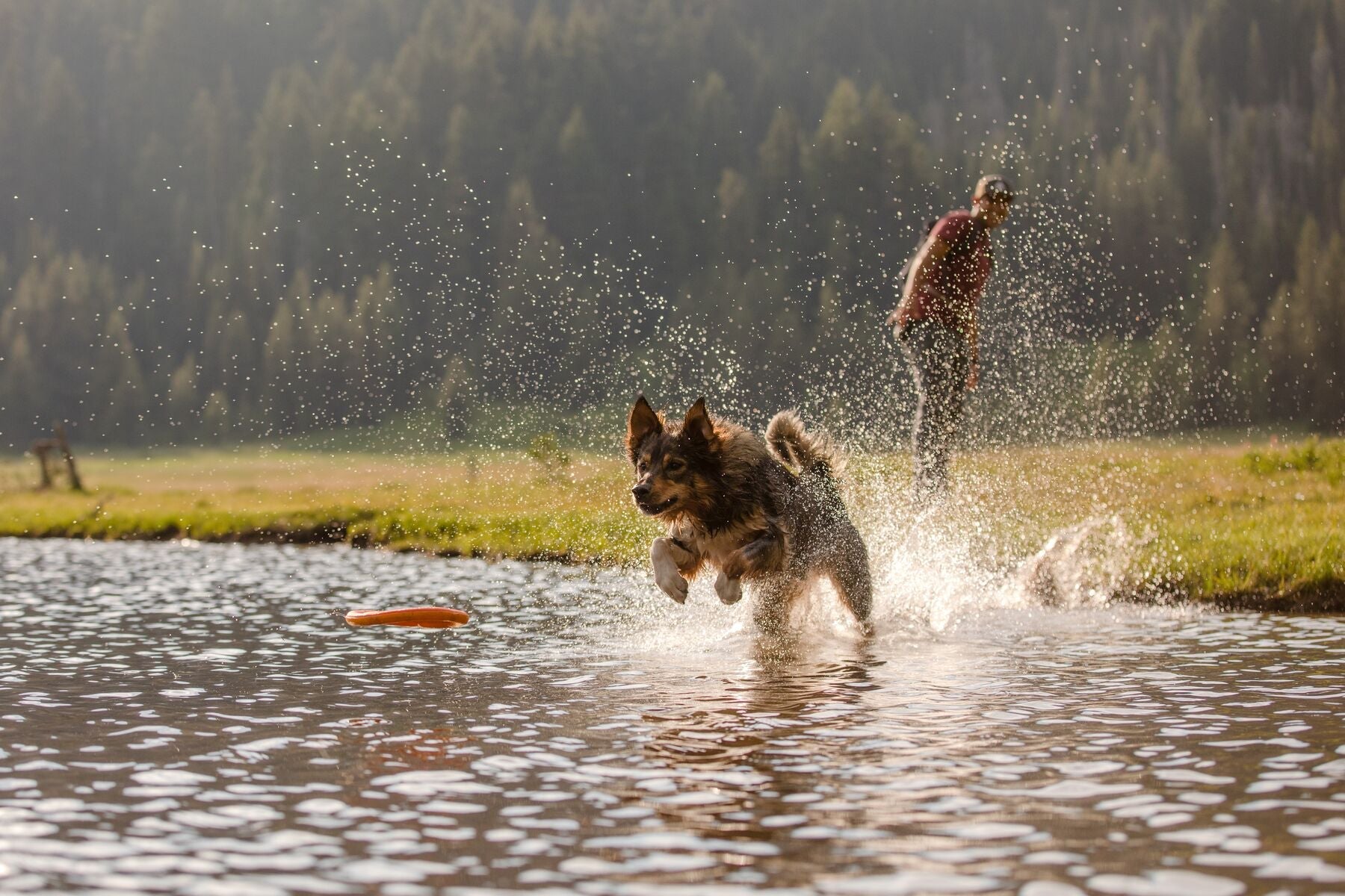 Ruffwear Hydro Plane™ Floating Dog Disc Toy - Tangelo Orange, Waterproof & Durable for Pool, Beach & Outdoor Play - Perfect for Fetch Games with Dogs