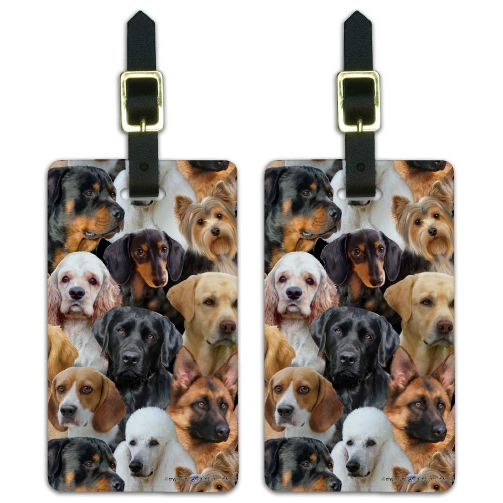 Premium Dog ID Tags Set of 2 - Personalized for Retrievers, Dachshunds & Poodles - Durable Pet Luggage Tags with Custom Engraving | Perfect for Travel, Kennels & Pet Identification