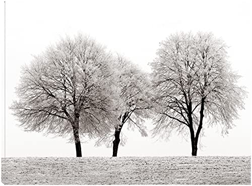 Three Trees