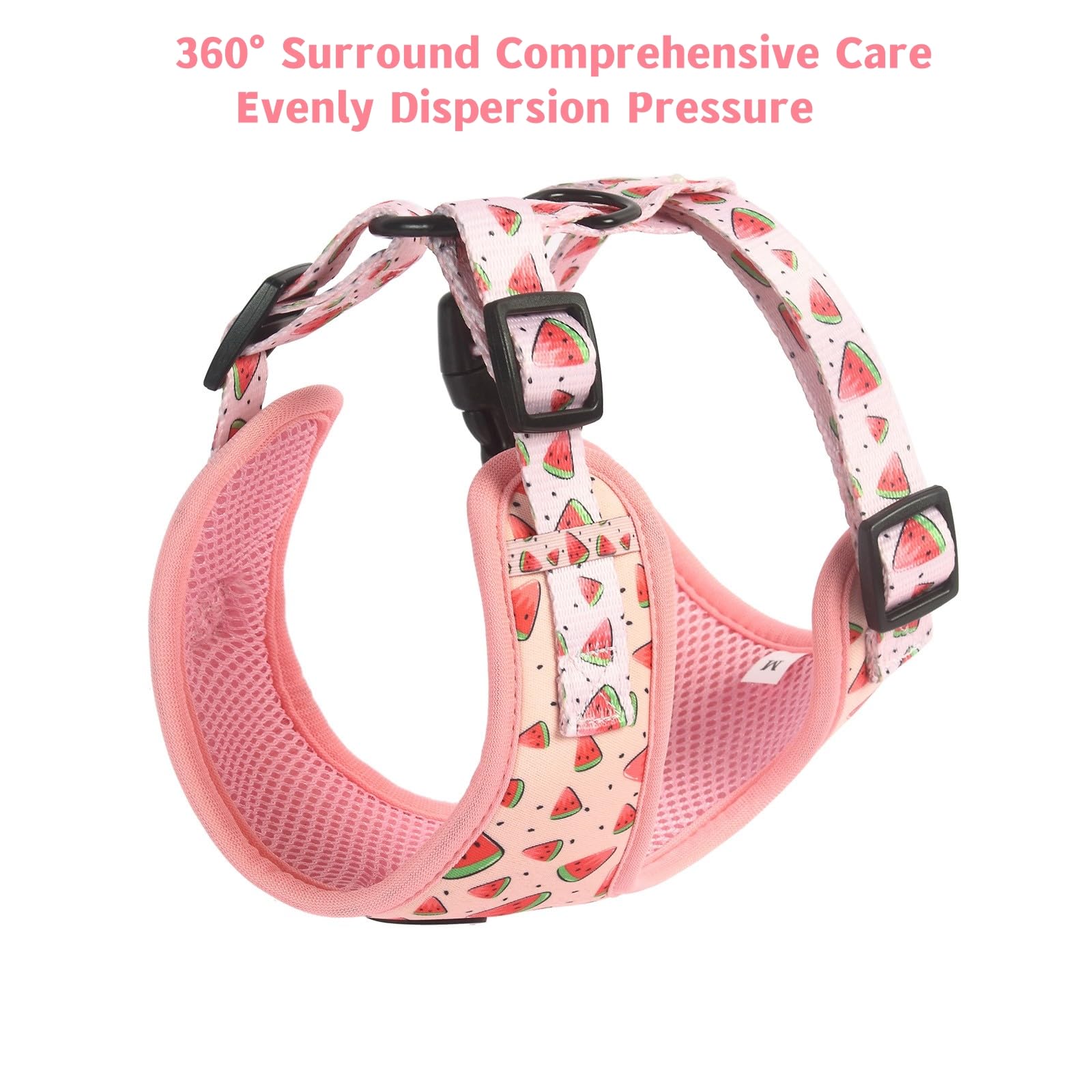 Coowone Adjustable Dog Harness and Leash Set - Soft Padded Vest Harness for Small, Medium & Large Dogs | Perfect for Walking, Training & Outdoor Adventures