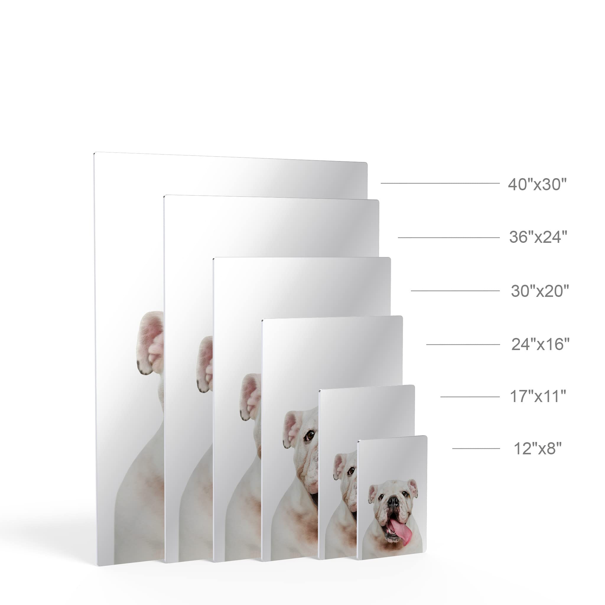 White English Bulldog Portrait Metal Wall Art - Pet Lover Gift for Dog Owners, Mom & Dad - 40x30 Inch Animal Print for Living Room, Bedroom, Nursery Decor - Made in USA | Perfect for Home, Office & Dog-Themed Spaces