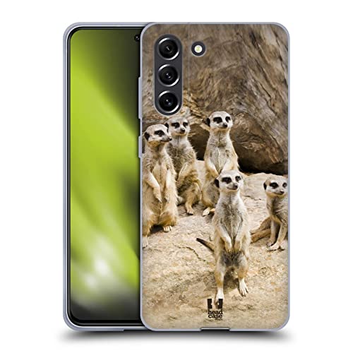 Meerkat Troop On Alert