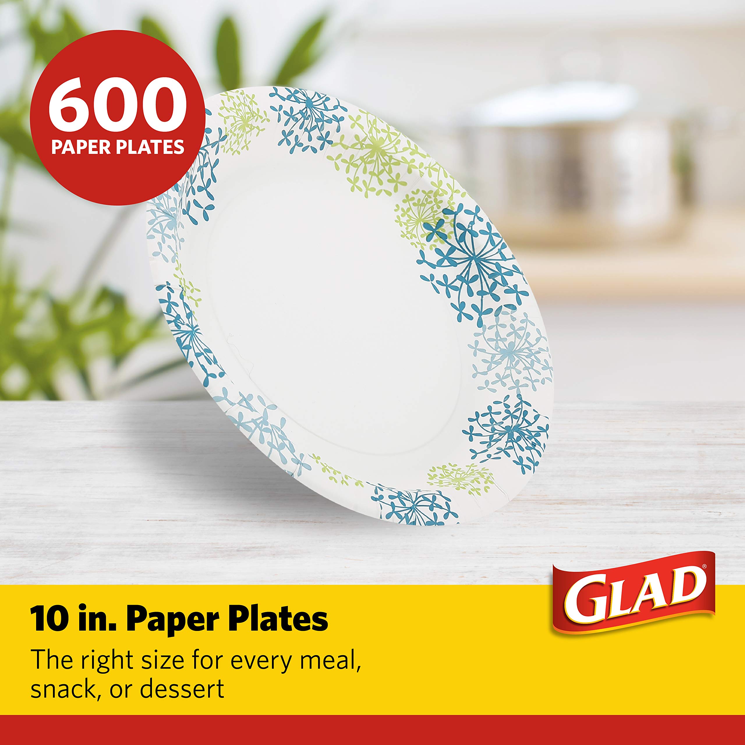 Heavy Duty Disposable Paper Plates 10