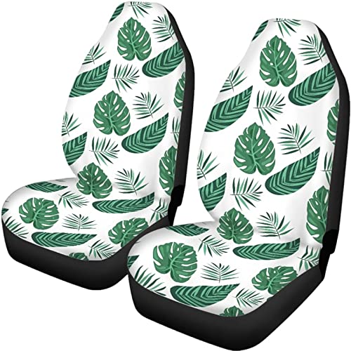 Green Palm Leaves