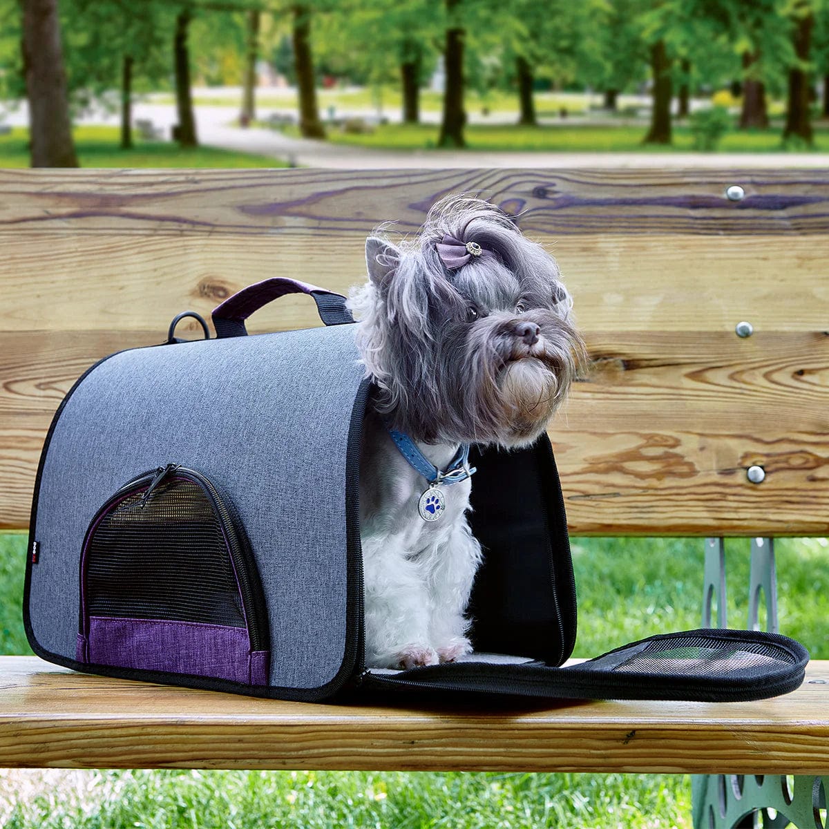 TSA Approved Airline Pet Carrier - 4 Colors for Small Dogs & Cats | Perfect for Travel, Road Trips & Vet Visits