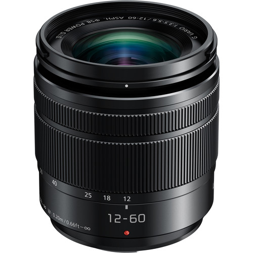 Panasonic Lumix G Vario 12-60mm f/3.5-5.6 ASPH. POWER O.I.S. Lens - Professional Micro Four Thirds Camera Lens for Travel, Landscape & Portrait Photography