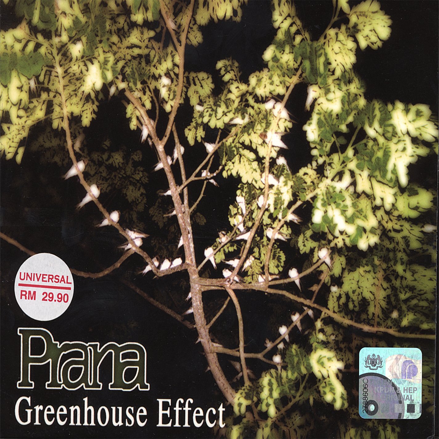 Greenhouse Effect Explained - Causes, Impacts & Solutions | Climate Change Guide for Home & Garden