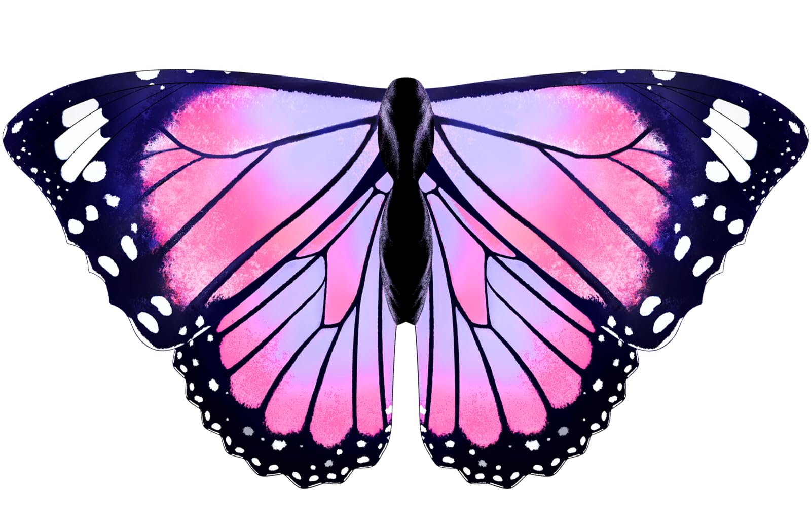 iROLEWIN Butterfly Wings Costume for Kids - Toddler Dress Up Wings for Girls & Boys, Play Toys & Party Favors - Perfect for Halloween, Birthday Parties & Pretend Play