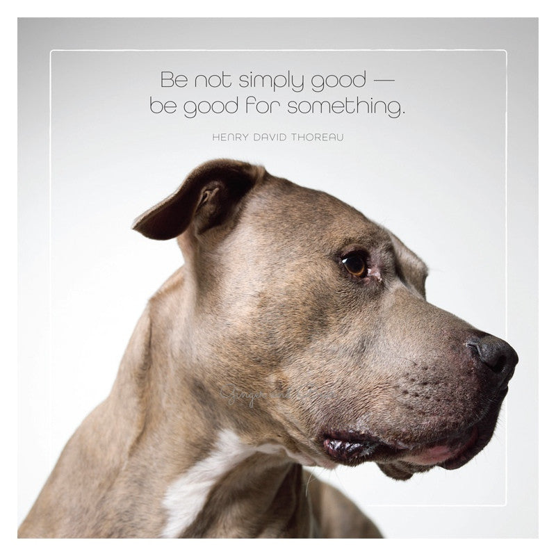 Pitbull Be Good For Something T-Shirt - Funny Dog Lover Tee for Men & Women - Perfect Gift for Pet Owners & Dog Enthusiasts - Wear to Dog Parks, Vet Visits & Casual Outings