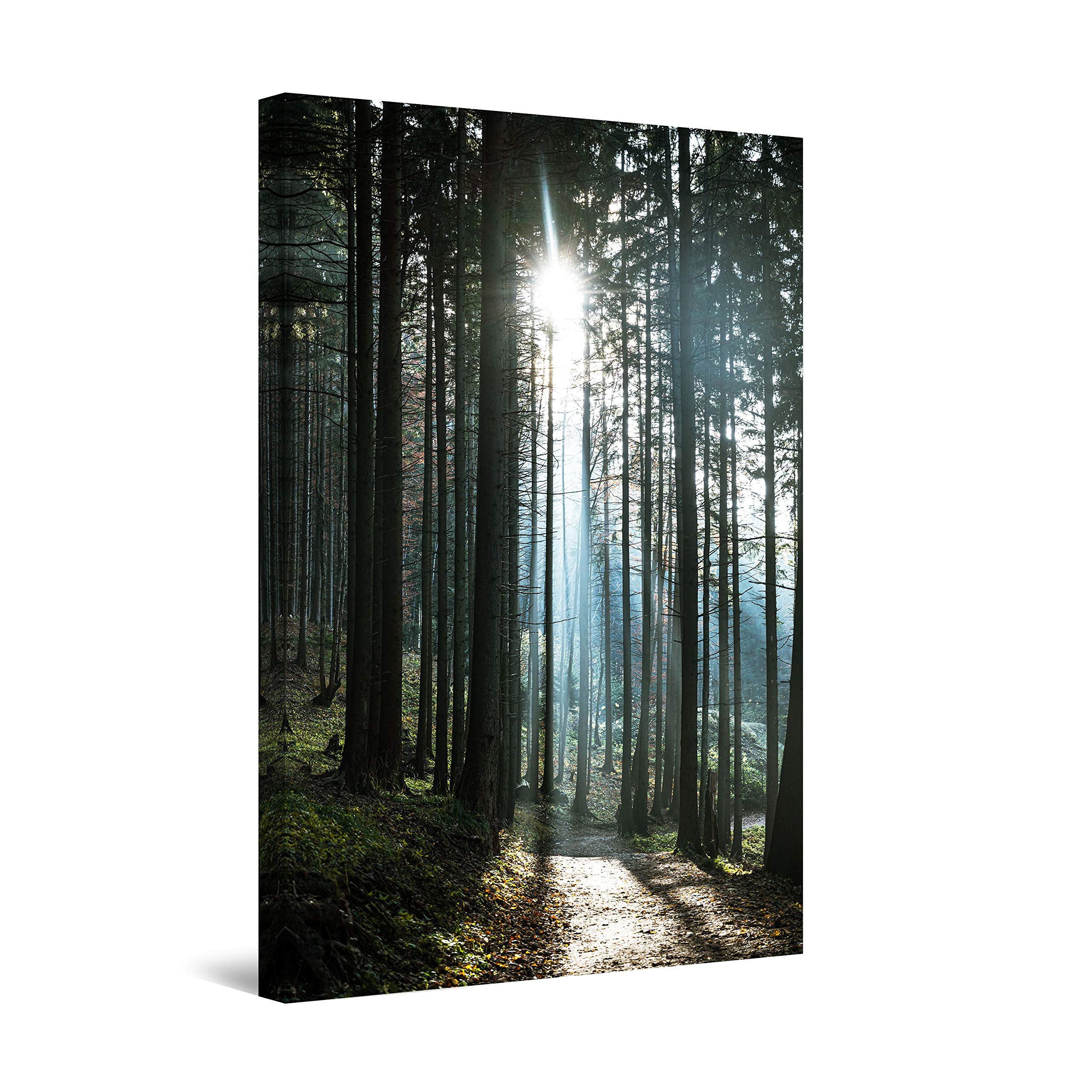 Startonight Abstract Forest Rays Canvas Wall Art Print - 24x36 Inch Modern Home Decor for Bedroom, Living Room & Office - Perfect for Nature Lovers & Contemporary Interior Design