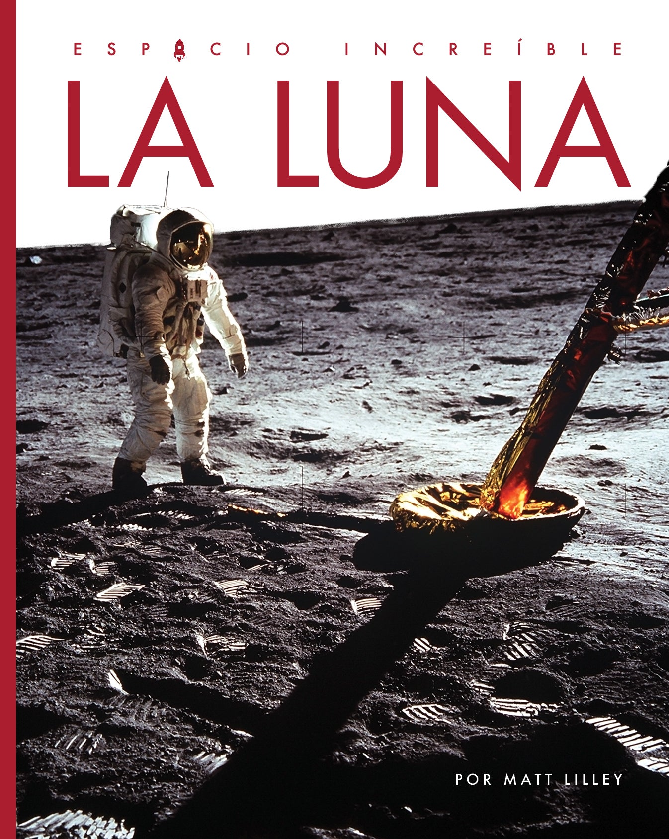 La Luna Space Incredible - Stunning Moon Decor for Home & Office - Perfect for Bedroom, Living Room, and Gift Giving