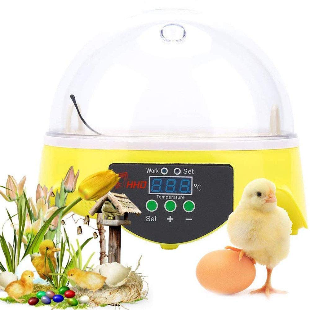 WXHN Mini Eggs Digital Incubator - Fully Automatic Poultry Hatching Machine with Temperature Control & Auto Egg Turner - 7 Egg Capacity for Chicken, Ducks, Birds - Perfect for Home Farming, Backyard Poultry & Hobby Breeders