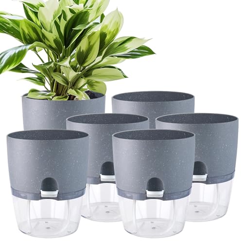 Grey 6pcs