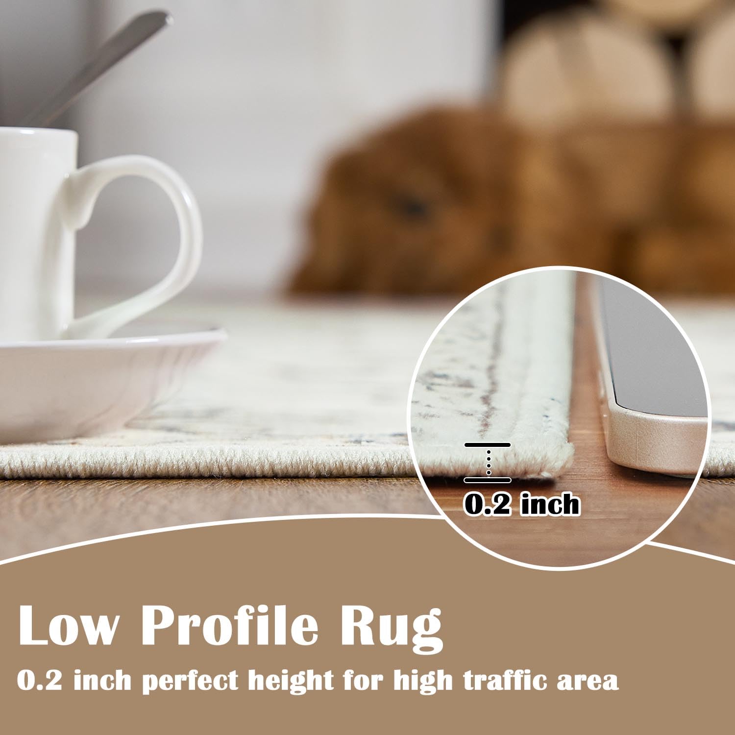 JINCHAN 5x7 Washable Non-Slip Area Rug - Antibacterial Foldable Carpet for Living Room, Bedroom, Kitchen & Nursery - Soft Beige Home Decor | Perfect for Family Rooms, Kids Play Areas & Pet-Friendly Spaces