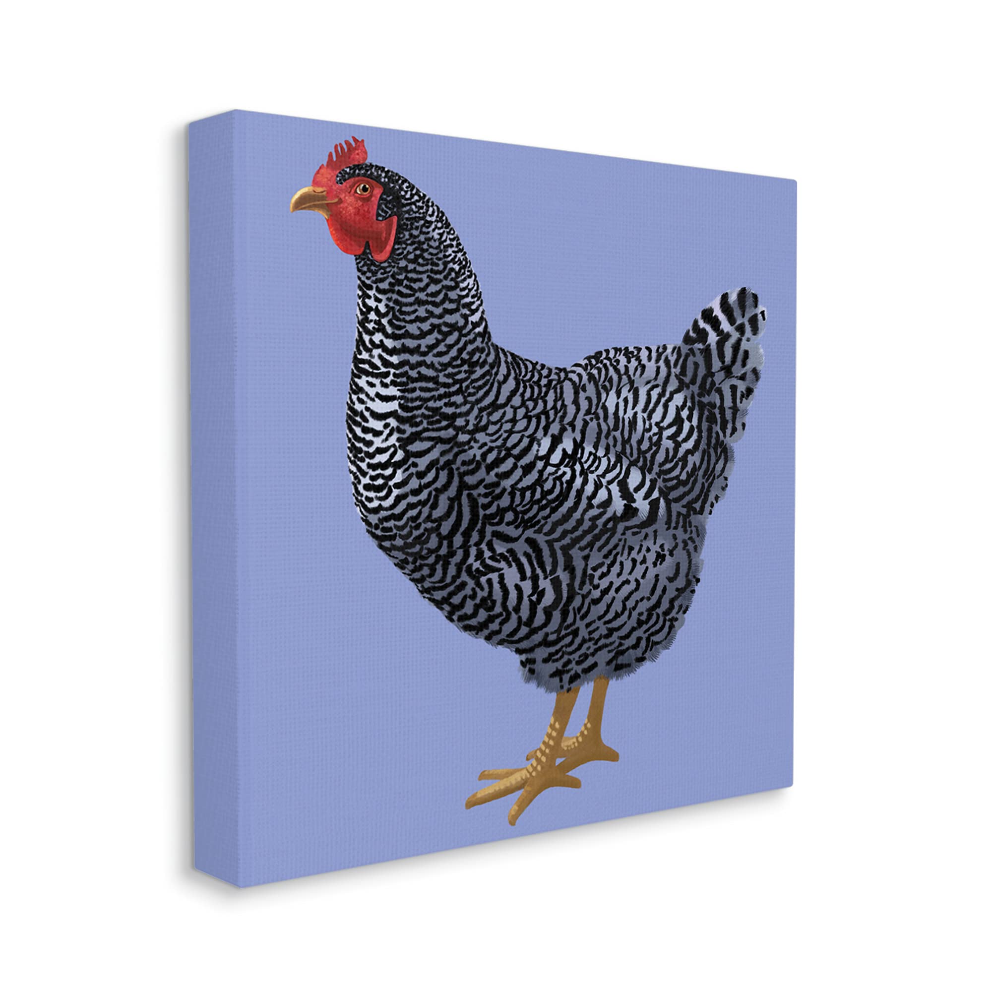 Stupell Industries Striped Farm Chicken Over Purple Smiling Bird Canvas Wall Art - 17