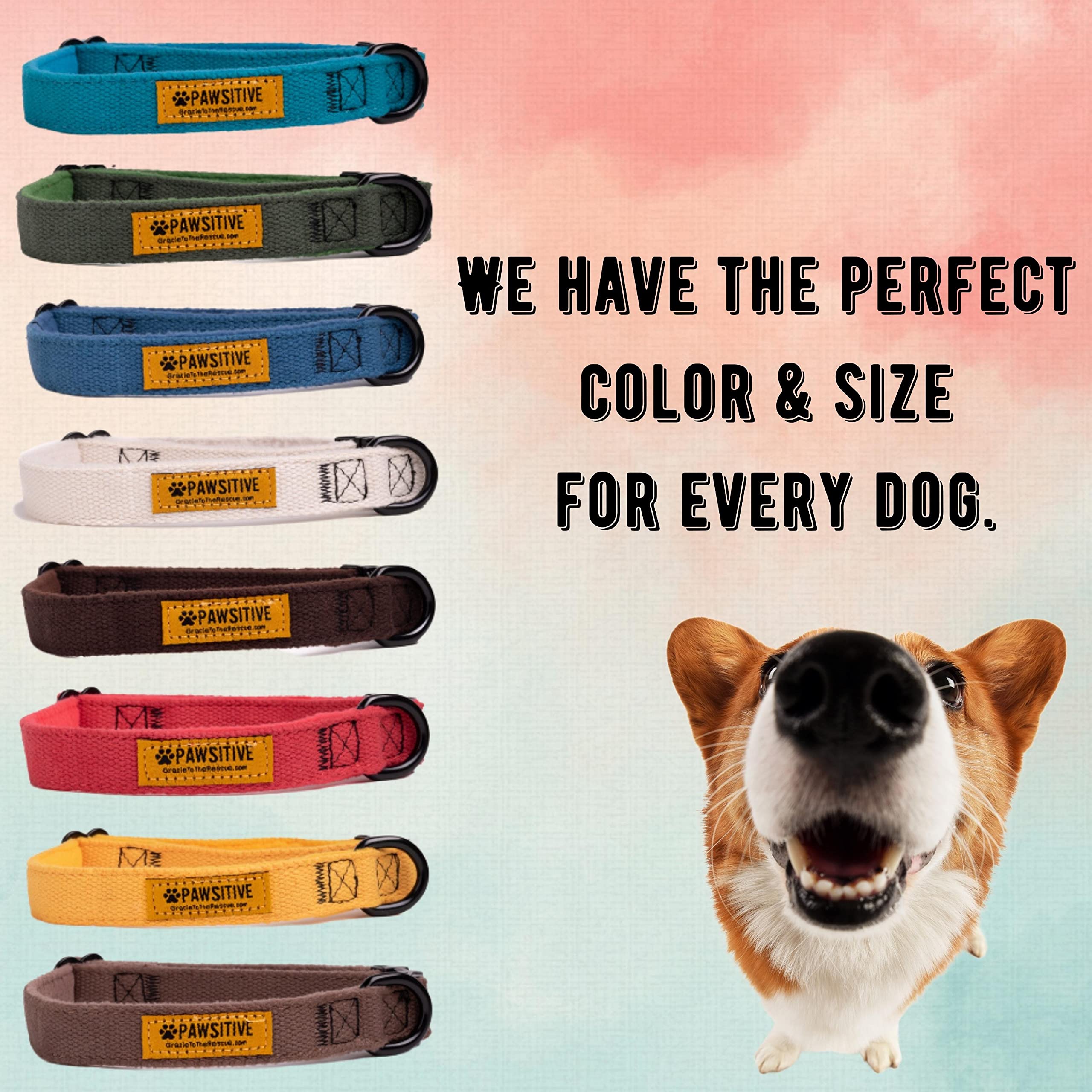 Pawsitive Teal Hemp Dog Collar - Hypoallergenic Soft Lining for Small, Medium & Large Dogs | Durable & Comfortable Pet Collar for Walking, Training & Outdoor Adventures (Emerald Green)