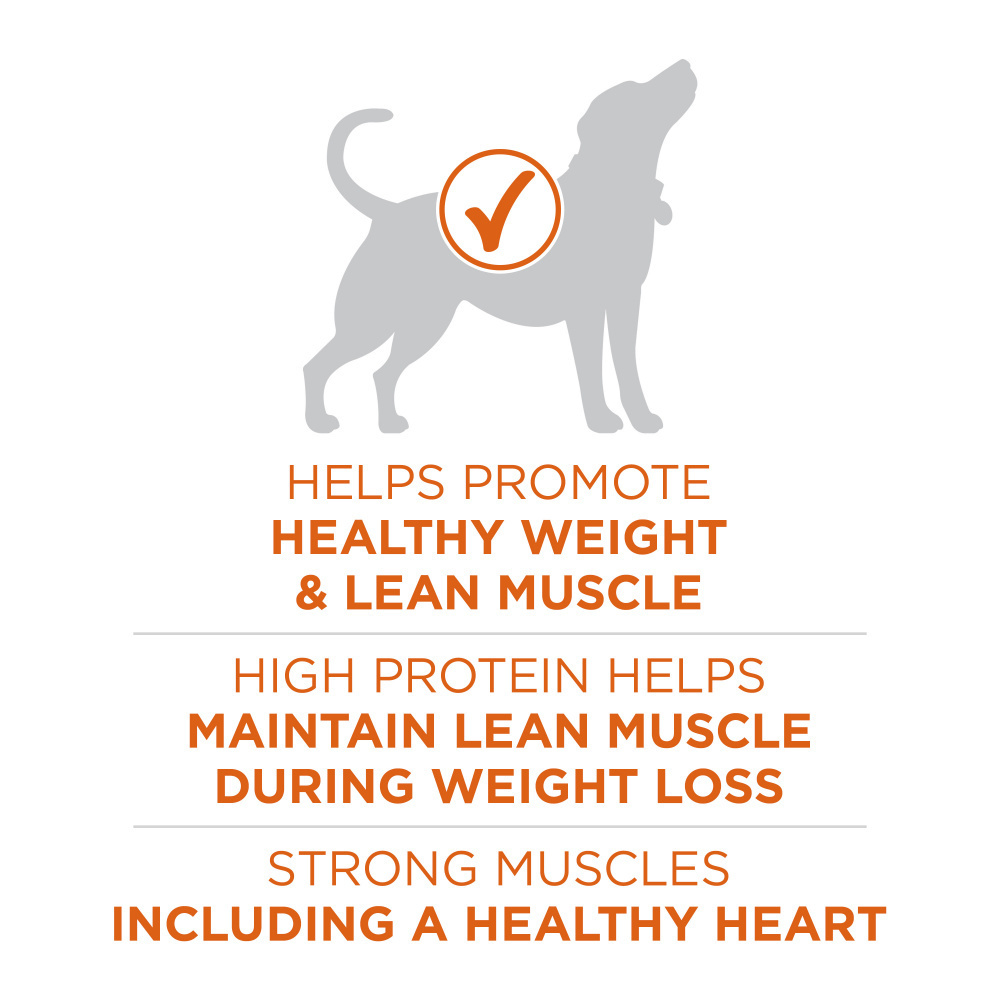 Purina ONE SmartBlend Healthy Weight Turkey Formula Dry Dog Food - High Protein Adult Dog Food for Weight Management - Perfect for Indoor & Less Active Dogs