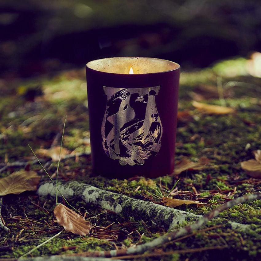 Cire Trudon | Maître Tseng x Trudon Terre à Terre Luxury Scented Candle - Handcrafted French Home Decor for Living Room, Bedroom & Gift Giving