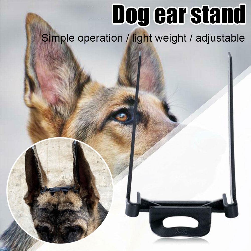 Doberman & Samoyed Dog Ear Support - Pet Ear Correction Tool for Ear Care & Vertical Stand | Perfect for Training, Grooming & Show Dogs
