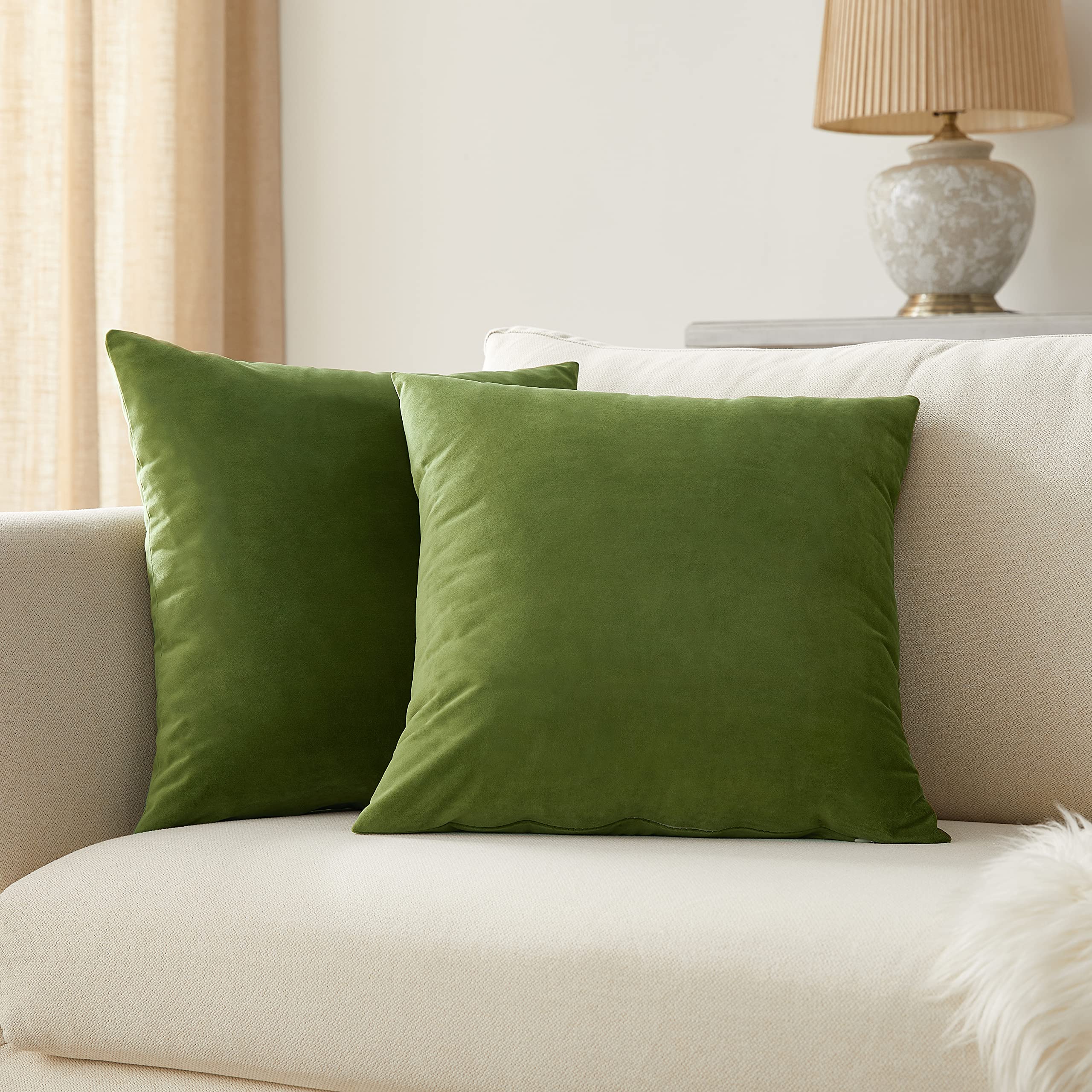 Set of 2 Velvet Green Pillow Covers 20x20 Inches - Soft Decorative Throw Pillows for Sofa, Couch & Bed - Perfect for Living Room, Bedroom & Home Decor