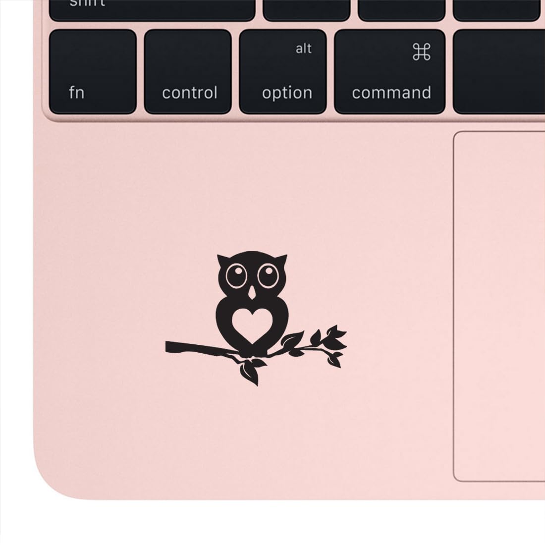 Premium Waterproof Vinyl Decal Stickers - Cute Owl on Branch (Black, Set of 2) for Laptop, Phone, Helmet, Car Window, Bumper, Mug, Cup, Door & Wall Decor - Perfect for DIY Home Decor, Office Accessories & Gift Giving