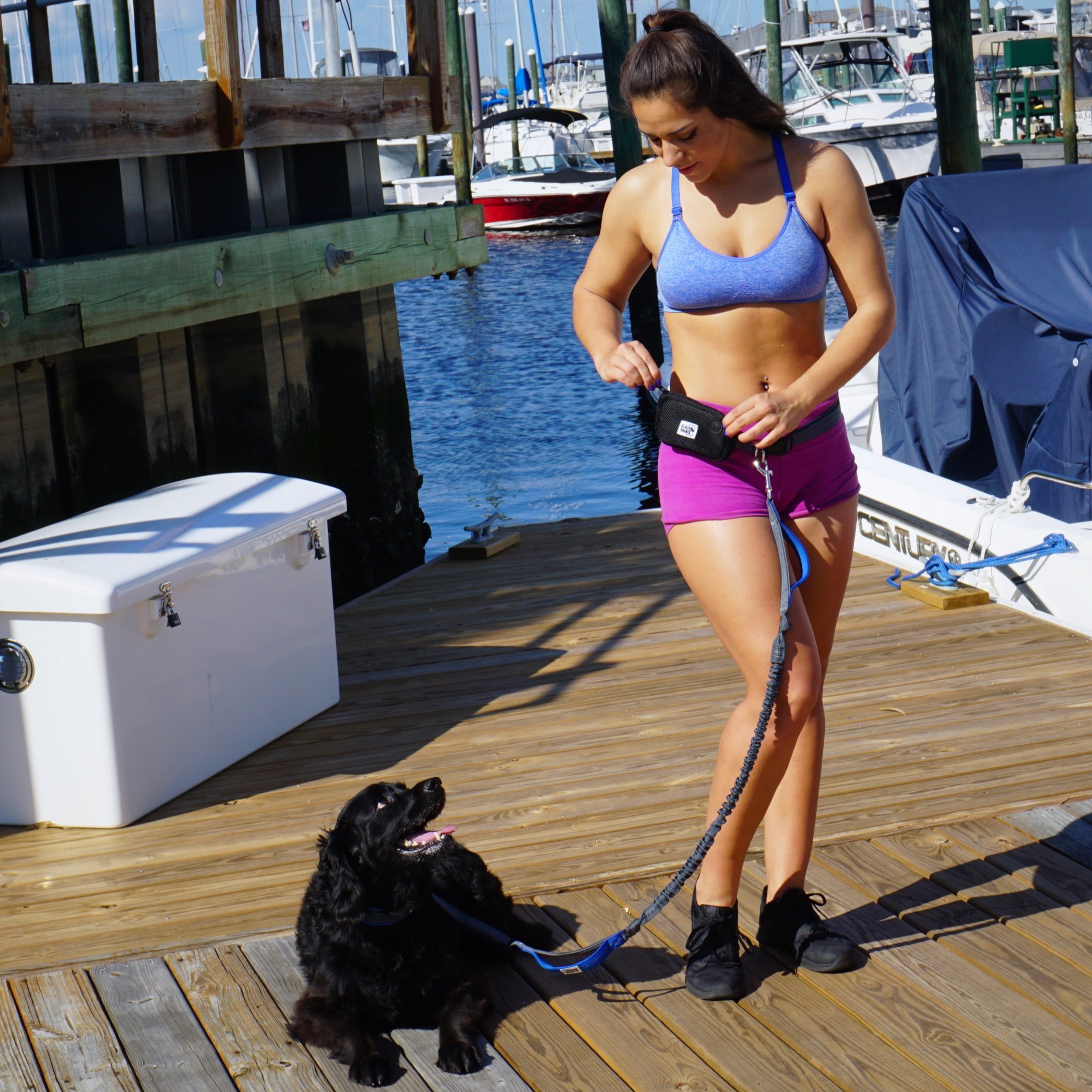 Black Rhino Hands-Free Dog Leash - Adjustable Bungee Leash for Running, Walking, Jogging & Hiking with Neoprene Padded Handles - Perfect for Medium to Large Dogs (Blue/Green) - Includes Free Running Pouch | Ideal for Outdoor Adventures, Park Visits & Daily Exercise