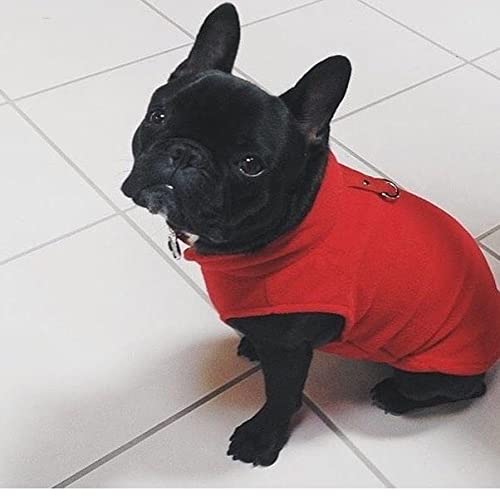 Gooby Fleece Vest Dog Sweater - Red, Medium - Warm Pullover Fleece Jacket for Small Dogs with O-Ring Leash - Winter Dog Coat for Cold Weather - Perfect for Small Breed Dogs (Boy or Girl) - Ideal for Outdoor Walks, Winter Adventures & Indoor Cozy Time