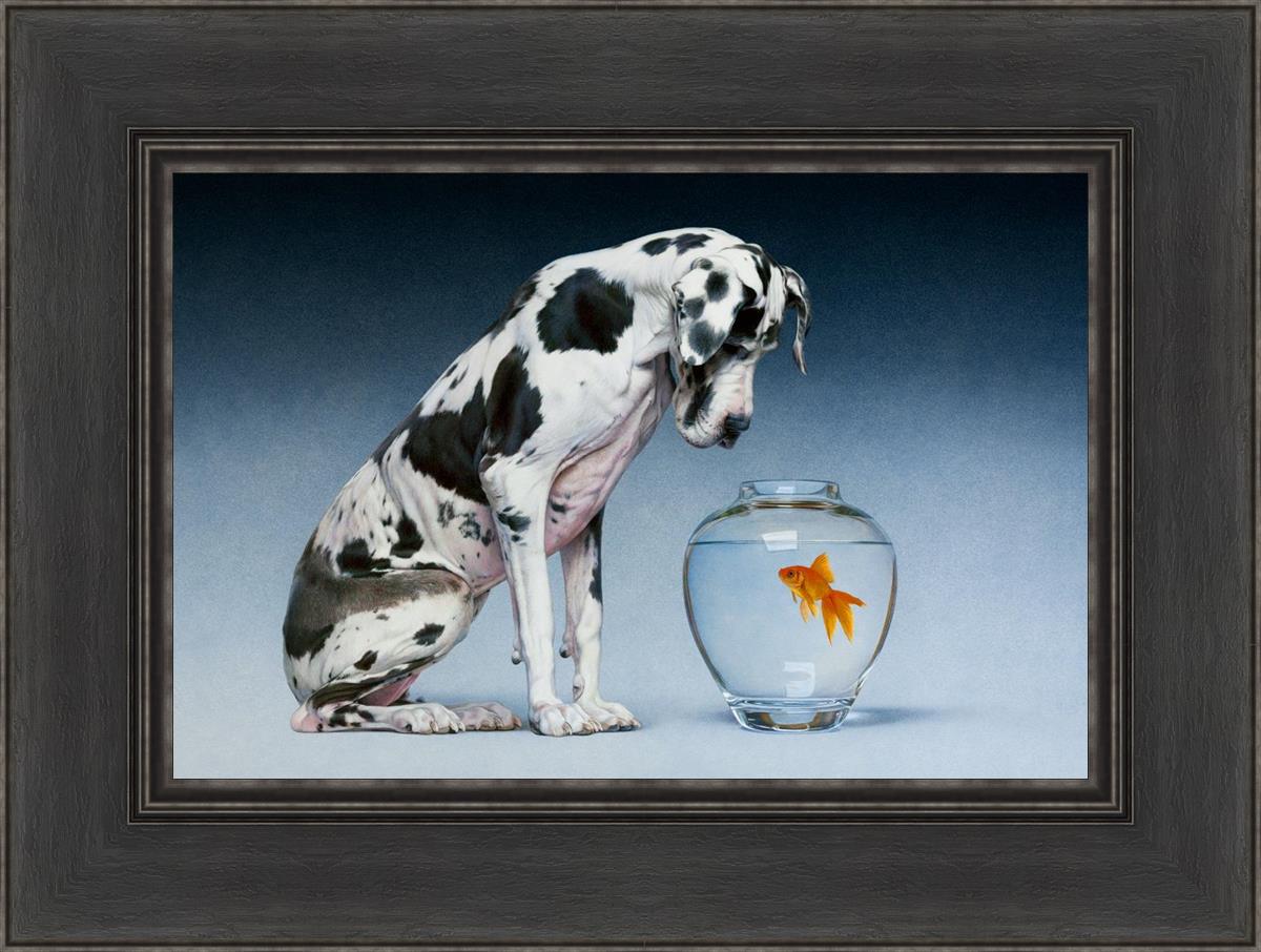 Dane And Fish By Chris Young - Premium Fishing Gear & Accessories for Outdoor Enthusiasts | Perfect for Freshwater & Saltwater Fishing Adventures