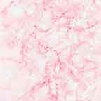 Glossy Pink Marble