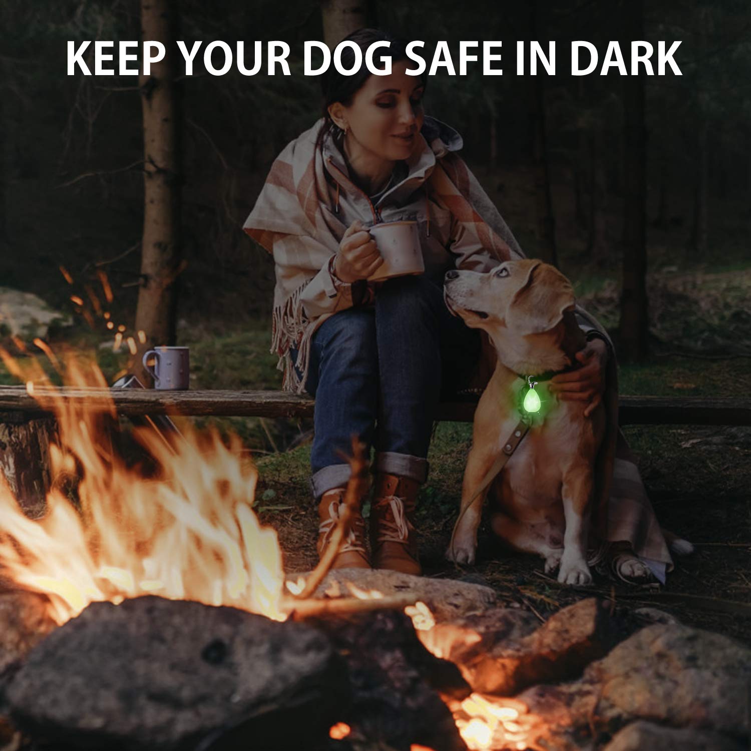 2-Pack Rechargeable LED Dog Collar Light - Waterproof Safety Light with 3 Modes & Multiple Colors - Clip On Collar, Leash or Harness - Perfect for Night Running, Hiking, Camping, Biking & Outdoor Adventures