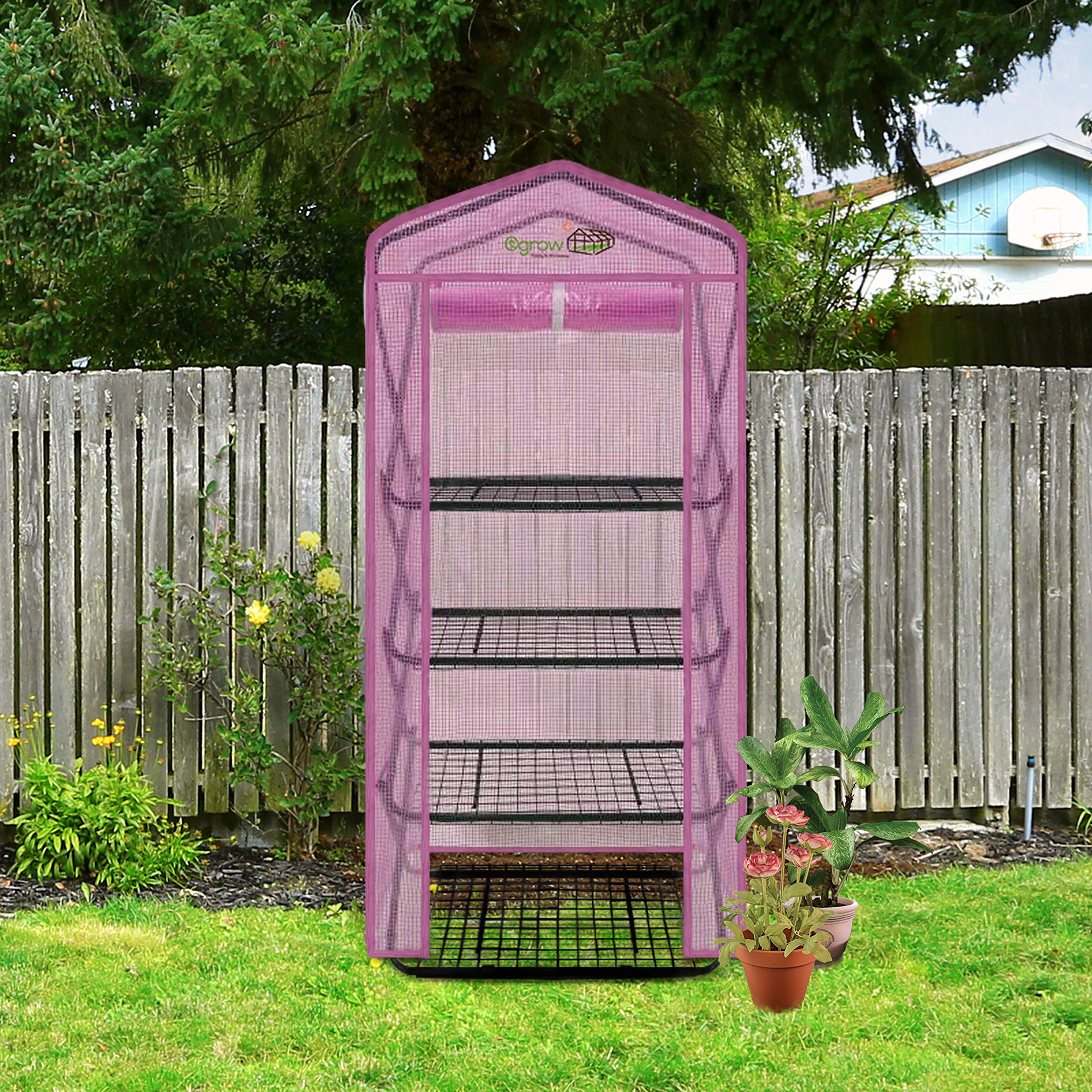 Ogrow® 4 Tier Pop-Up Greenhouse with Lilac Premium PE Cover - Portable Plant Protection for Indoor/Outdoor Gardening, Seed Starting & Plant Growing