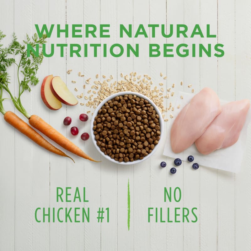 Instinct Be Natural Real Chicken & Brown Rice Recipe Dry Dog Food - Grain Free, High Protein (4lb & 20lb) - Perfect for Adult Dogs with Sensitive Stomachs & Allergies | Home Feeding & Travel Use