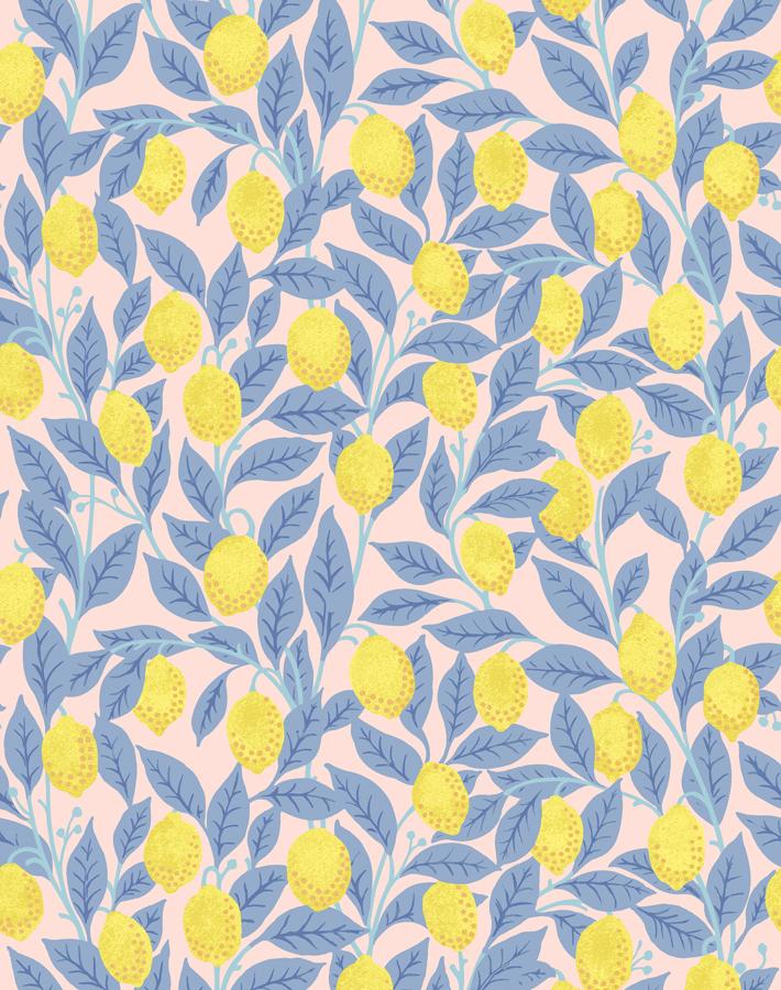 Pink Lemonade Wallpaper by Nathan Turner - Vintage Floral Peel and Stick Wallpaper for Kitchen, Bathroom, Nursery Decor - Easy to Install Removable Wallpaper