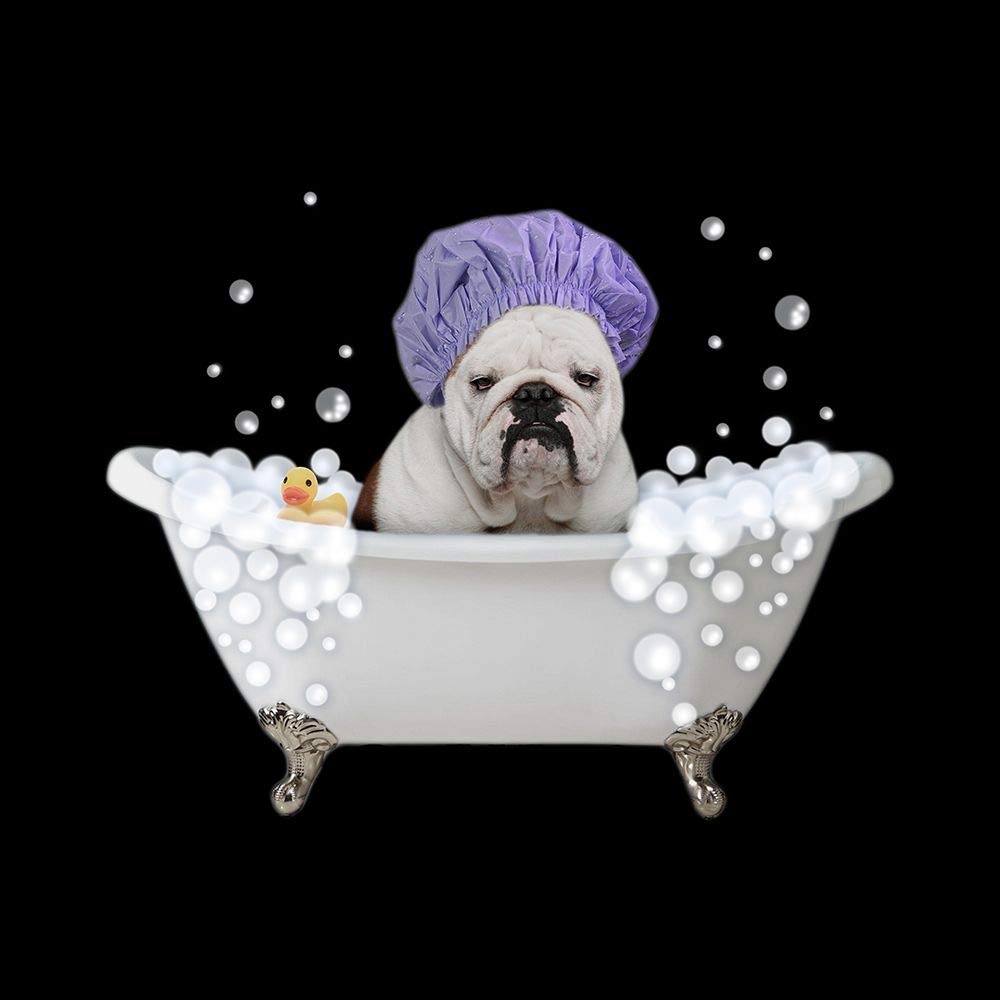 Marcus Prime Bath Time Bubbles 3 Poster Print - 24x24 Inch Multicolor Wall Art for Bathroom Decor, Kids Room & Nursery