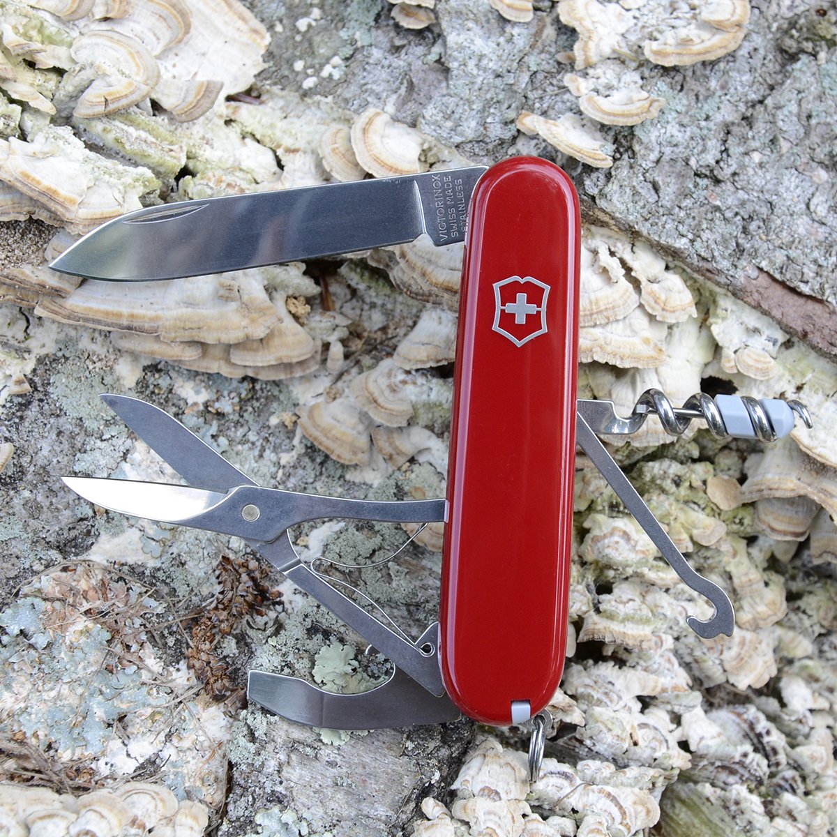 Victorinox Swiss Army Compact Pocket Knife - Multitool with Scissors, Knife & Keyring - Perfect for Camping, Hiking & Everyday Carry (EDC)