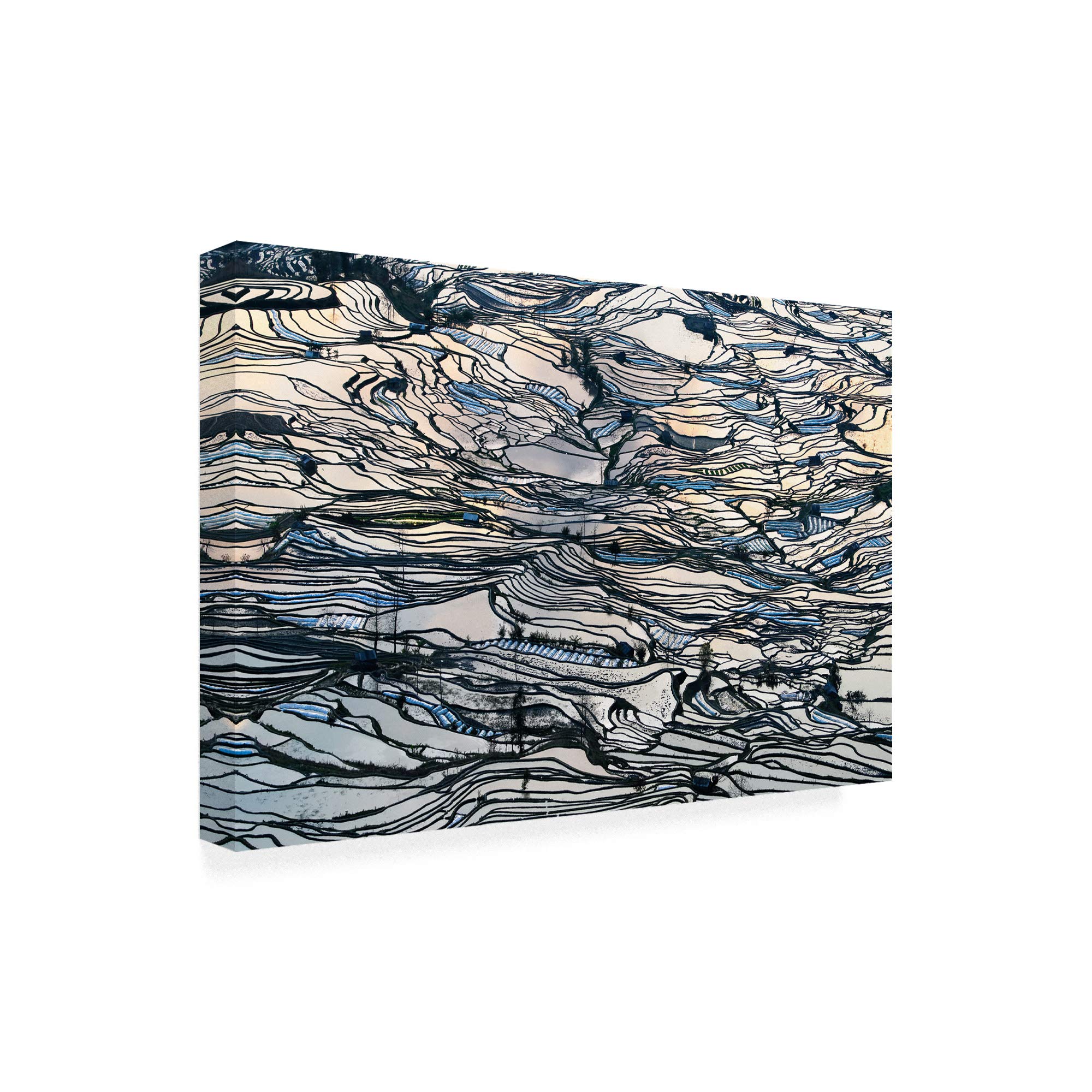 George Doupas Earth Carpet Art Print - 30x47 Inch Wall Decor for Living Room, Bedroom & Office | Trademark Fine Art Collection | Modern Home Decor & Gift Idea
