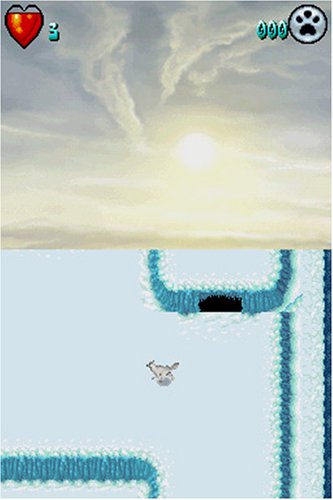 Arctic Tale - Nintendo DS (Renewed) | Kids Adventure Game | Perfect for Family Game Night & Travel Entertainment