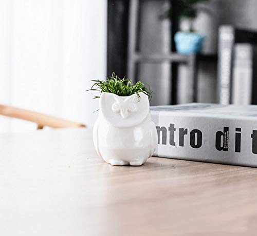 Adorable Animal Succulent Planter - Cute Ceramic Flower Pot for Plants, Home & Office Desk Decor (White) | Perfect for Succulents, Small Cacti & Air Plants - Great Gift Idea for Plant Lovers