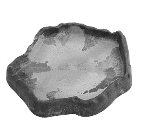 Karen Low Reptile Water Dish for Chameleon & Iguana - Feeding Bowl for Lizards & Tortoises - Perfect for Terrariums