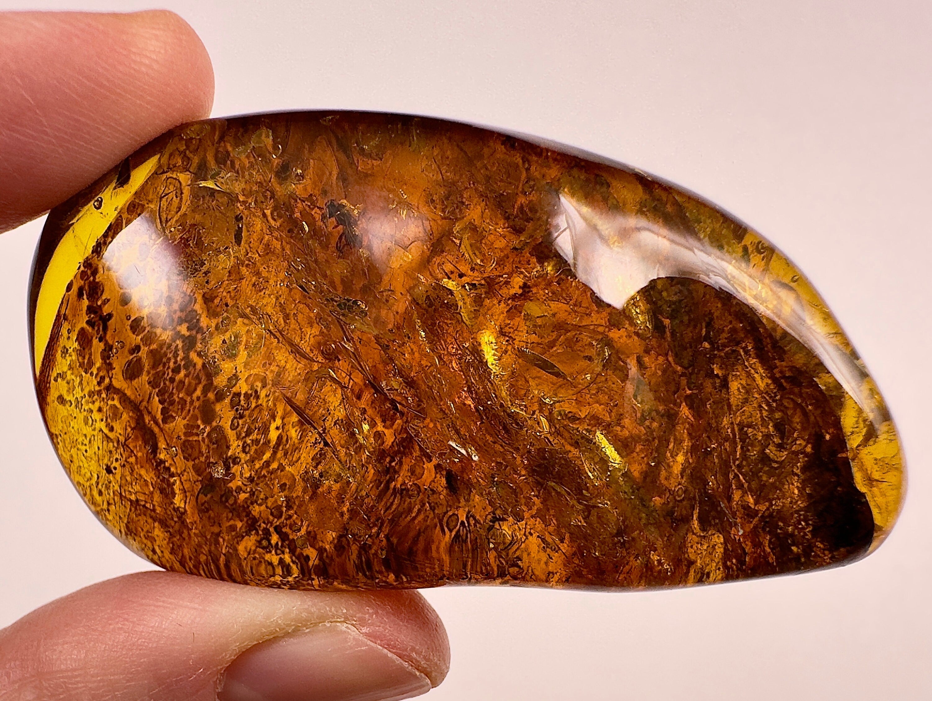 AMBER Stone with Real Insect Fossil - Polished Tumbled Stones & Healing Crystals for Jewelry Making, Meditation & Home Decor (52725)