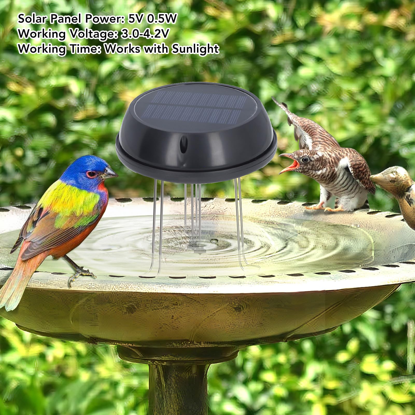 Solar Powered Bird Bath Water Agitator - Solar Panel Water Circulator & Wiggler for Garden Ponds, Birth Baths & Outdoor Decor - Attracts Birds & Prevents Mosquitoes