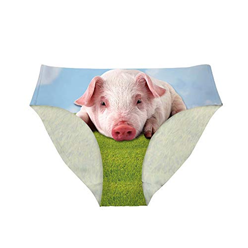 Pig