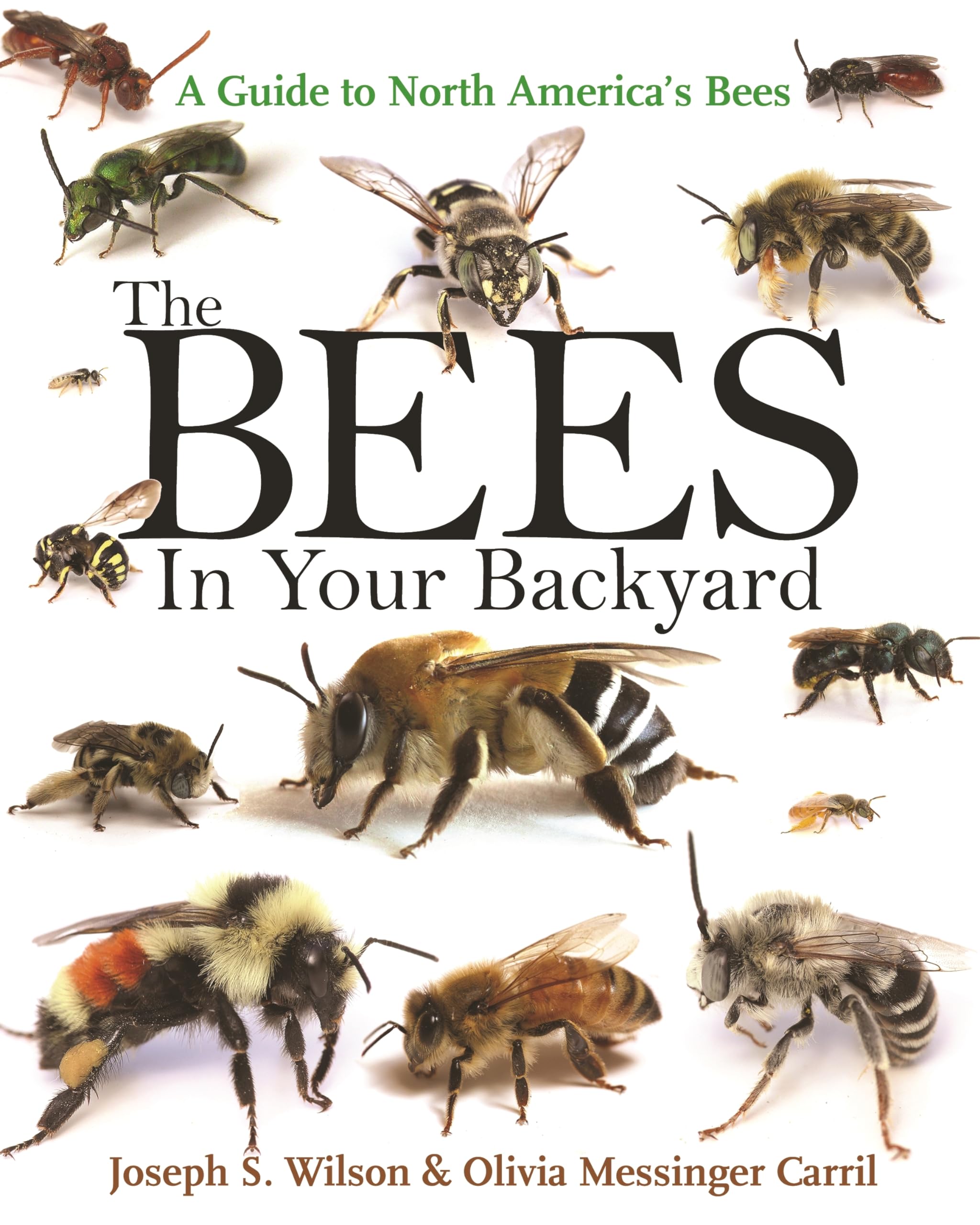 The Bees in Your Backyard: A Guide to North America's Native Bees - Perfect for Gardeners, Nature Enthusiasts & Pollinator Conservation