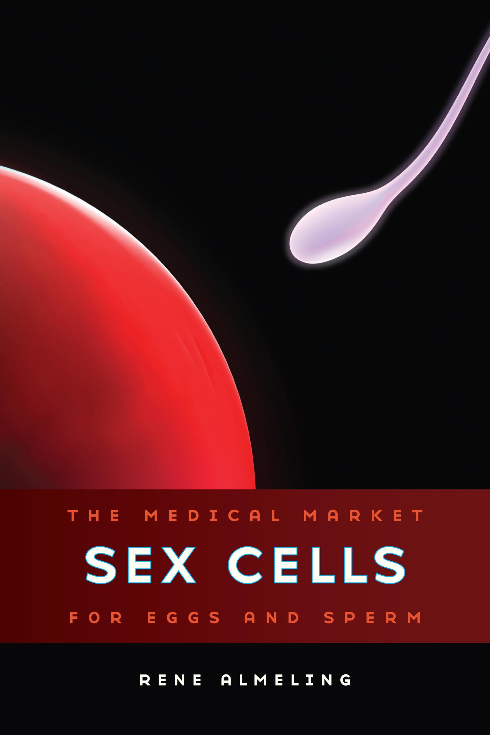 Human Egg and Sperm Donation Services | Fertility Treatment Solutions | IVF, IUI & Reproductive Medicine | For Couples, LGBTQ+ & Single Parents